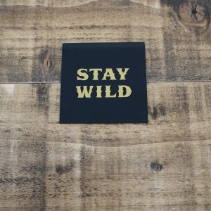 Coaster Stay Wild Gold